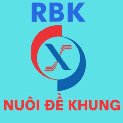 Nuôi dàn đề 50 số khung 2 ngày – Dự đoán dàn đề 50 số bất bại