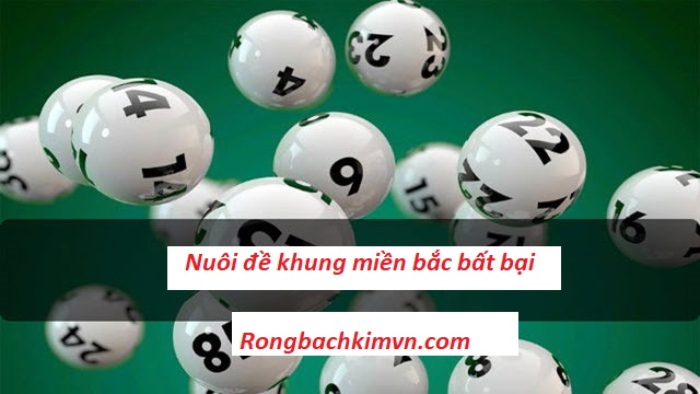 Nuôi đề khung miền bắc bất bại