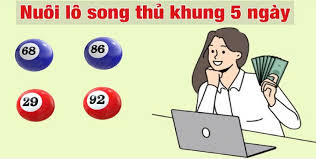 Một số phương pháp soi cầu song thủ lô nuôi khung 5 ngày hay nhất