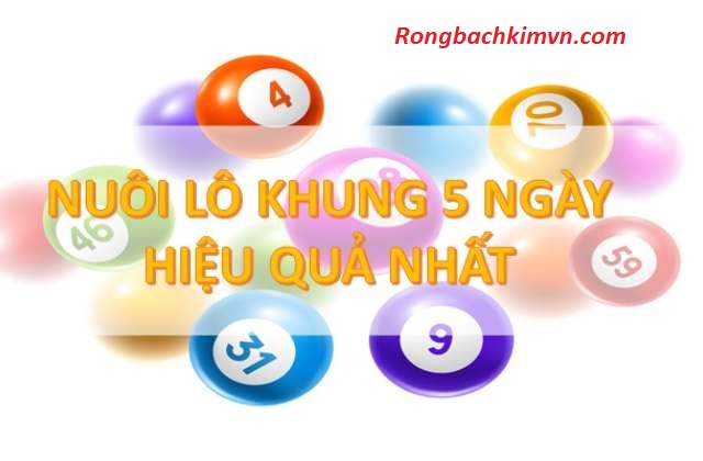 Nuôi bạch thủ lô khung 5 ngày chiến thắng quanh năm