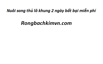 Nuôi song thủ lô khung 2 ngày bất bại miễn phí